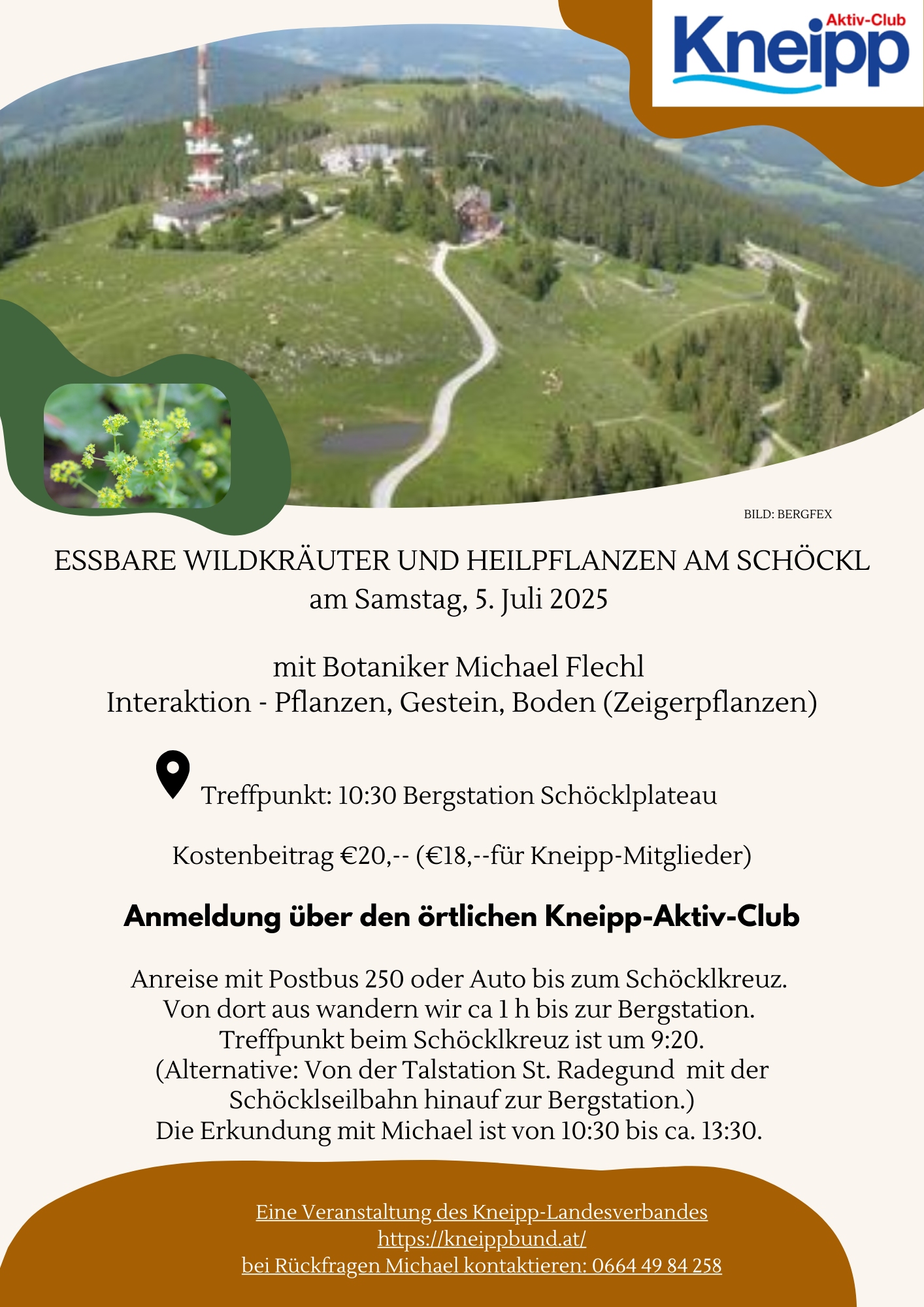 Essbare Wildkräuter und Heilpflanzen am Schöcklplateau